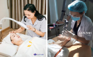 Cay_ha_collagen_la_gi_-_cay_ha_collagen_gia_bao_nhieu_705236f3c959409e87a1e8b4290a1ac2